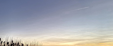 mrigashira amavasya 2025