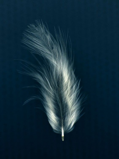 Soul feather