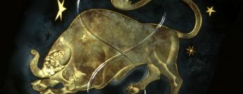 Header Golden Taurus Thumbnail